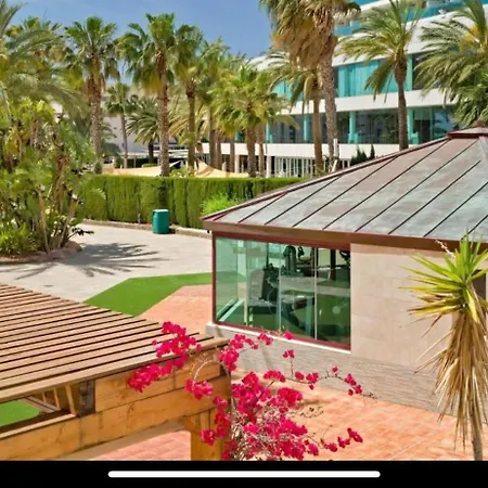 Apartman Elite In *